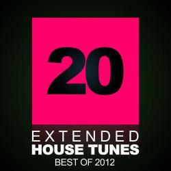 VA - 20 Extended House Tunes