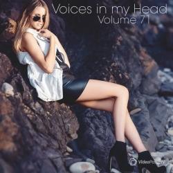 VA - Voices in my Head (Best of 2011)
