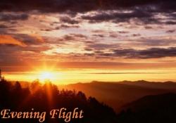 VA - Evening Flight