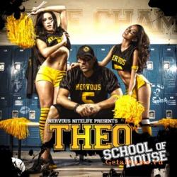 VA - Nervous Nitelife Presents Theo: School Of House