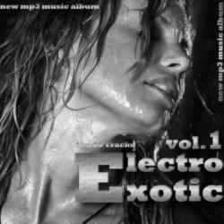 VA - Electro Exotic vol.2