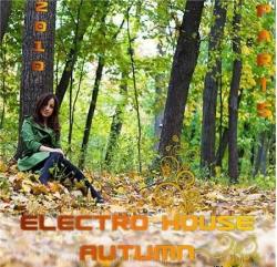 VA - Electro House Autumn 2010 (Part 5)