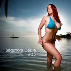 VA - Seashore Desire #35