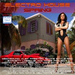 VA - Electro House Spring 2011 (Part 18)