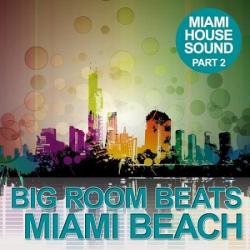 VA - Big Room Beats in Miami Beach (Part 2) (2012)