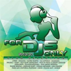 VA - For DJS Only 2010.06: Club Selection