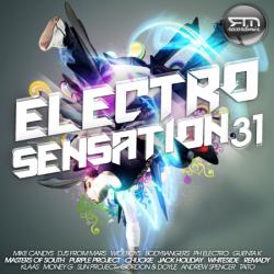 VA - RM Electro Sensation Vol.31