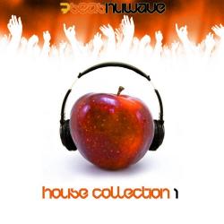 VA - House Collection (The Best Of 2010) Part.3