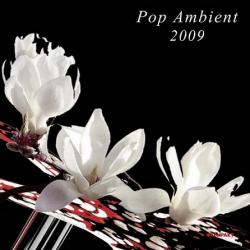 VA - Pop Ambient 2009