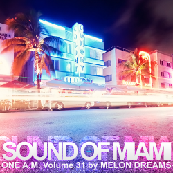 VA - Sound Of Miami: One A.M. Volume 6
