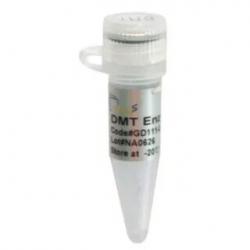 Reagent - DMT