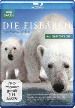  :    (2   2) / BBC: Polar Bear - Spy on the Ice VO