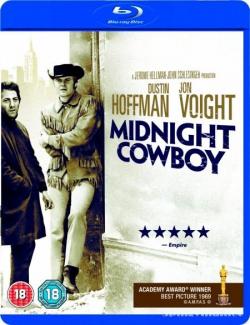   / Midnight Cowboy