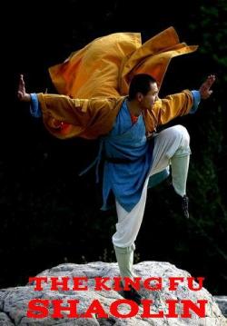-    / The King Fu Shaolin DUB
