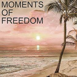 VA - Moments Of Freedom Vol.2