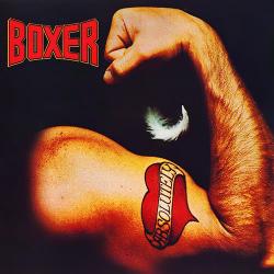 Boxer - Absolutely
