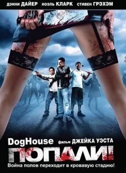 ! / Doghouse MVO