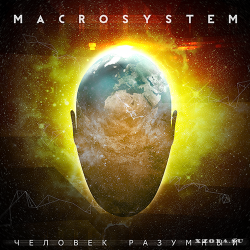 Macrosystem -  