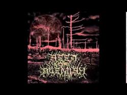 Seed of Blemish - 