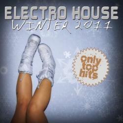 VA - Electro House Winter 2011
