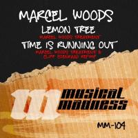 Marcel Woods Lemon Tree / Time Is Running Out