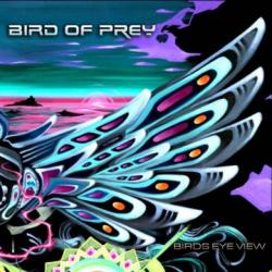 Bird of Prey - Birds Eye View