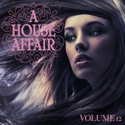 VA - A House Affair Vol.12