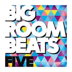 VA - Big Room Beats Vol.5