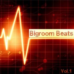 VA - Bigroom Beats Vol.1