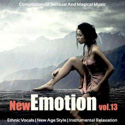 VA - New Emotion Vol.13