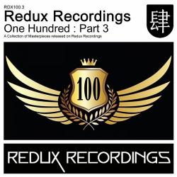 VA - Redux Recordings One Hundred: Part 3
