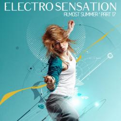 VA - RM Electro Sensation Vol.17