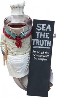    / Sea The Truth DVO