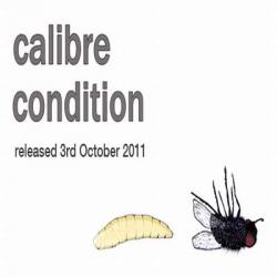 Calibre - Condition