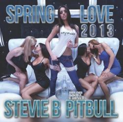 Stevie B feat. Pitbull - Spring Love