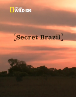   (1-3   3) / National Geographic. Secret Brazil DUB