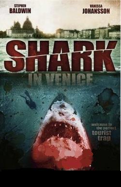   / Shark in Venice