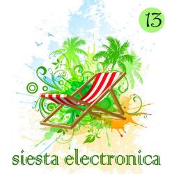 VA - Electronica Vol.14