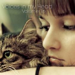 VA - Voices in my Head Volume 16