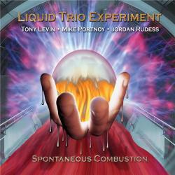 Liquid Trio Experiment: Spontaneous Combustion