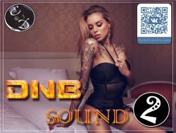 VA - DNB Sound vol.2