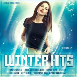 VA - Winter Hits Vol 2