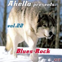 VA - Akella Presents vol. 22 (2CD)