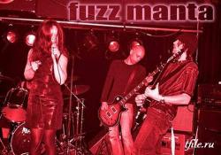Fuzz Manta - 