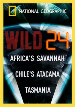   24  (3   3) / Wild 24 VO