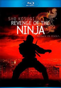   / Revenge of the Ninja MVO