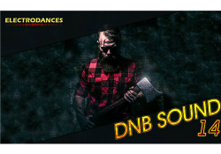 VA - DNB Sound vol.14