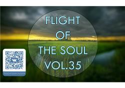 VA - Flight Of The Soul vol.35
