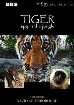 .   (3   3) / BBC. Tiger. Spy in the Jungle VO