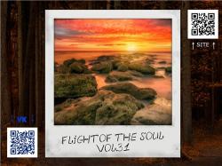 VA - Flight Of The Soul vol.31